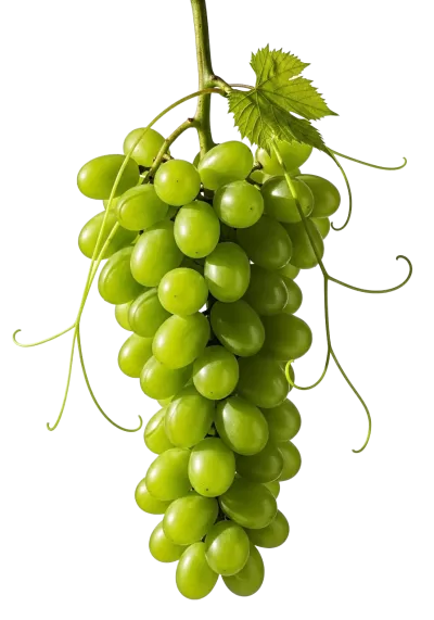 Imagen PNG para descargar